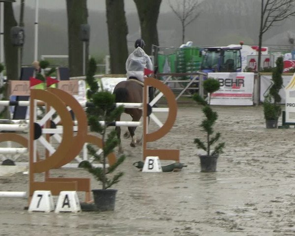Reitturnier Werne-Lenklar 2023