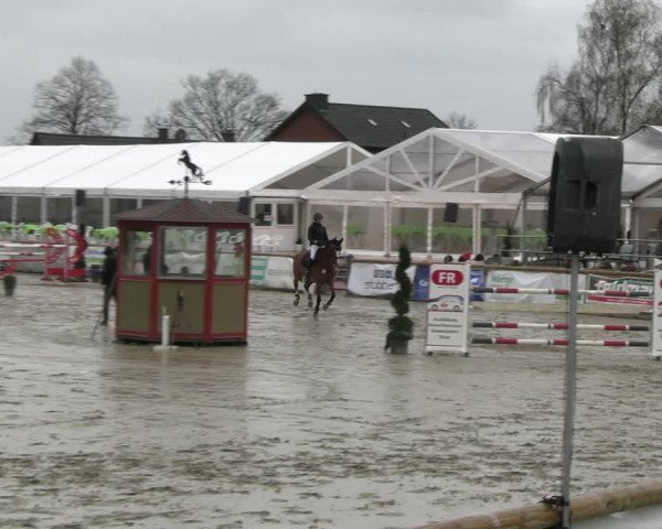 Reitturnier Werne-Lenklar 2023