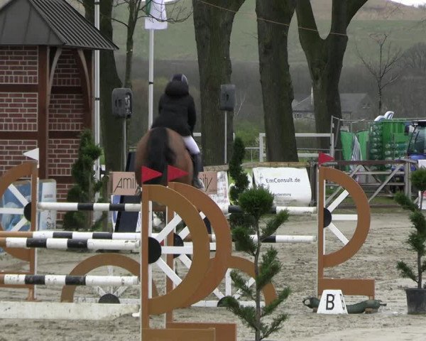 Reitturnier Werne-Lenklar 2023