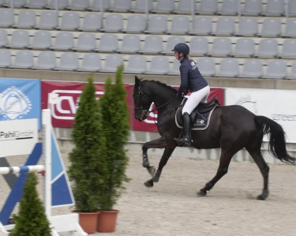 Reitturnier Aachen 2023