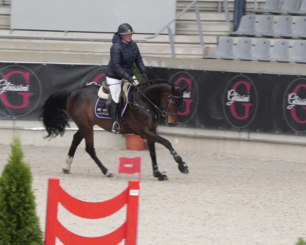 Reitturnier Aachen 2023