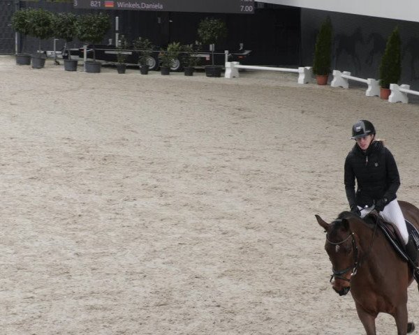 Reitturnier Aachen 2023
