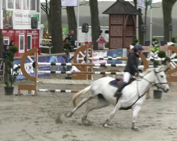 Reitturnier Werne-Lenklar 2023