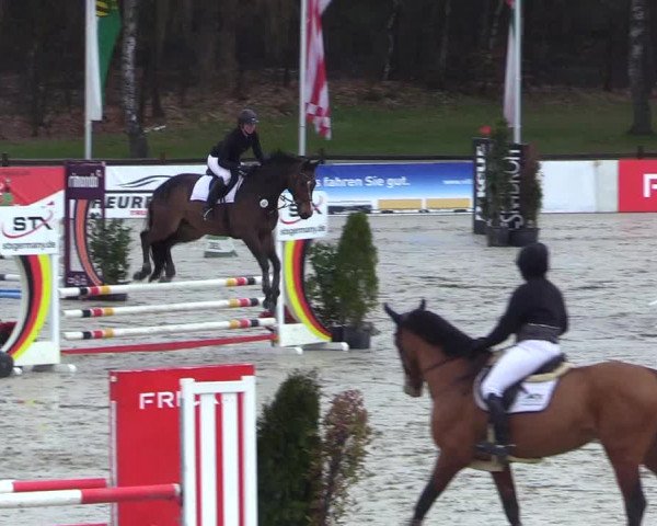 Reitturnier Westergellersen 2023