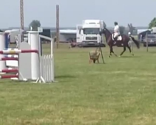 Video of Tsar xx