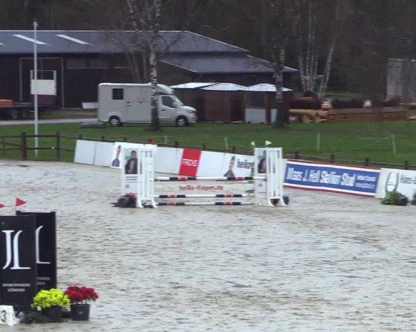 Reitturnier Westergellersen 2023
