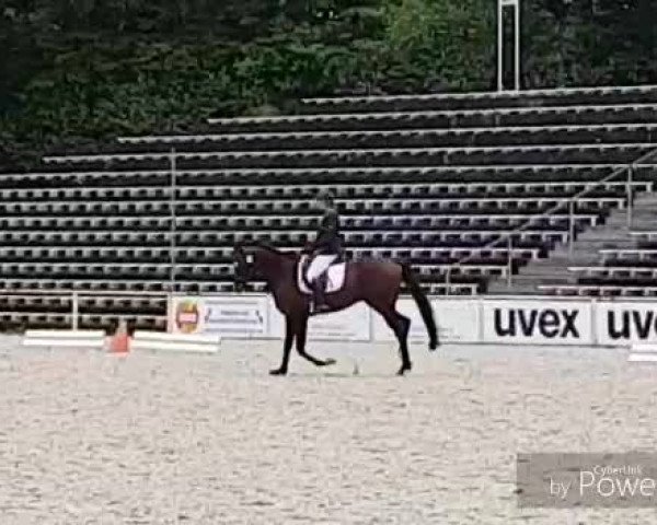 Video of Tsar xx