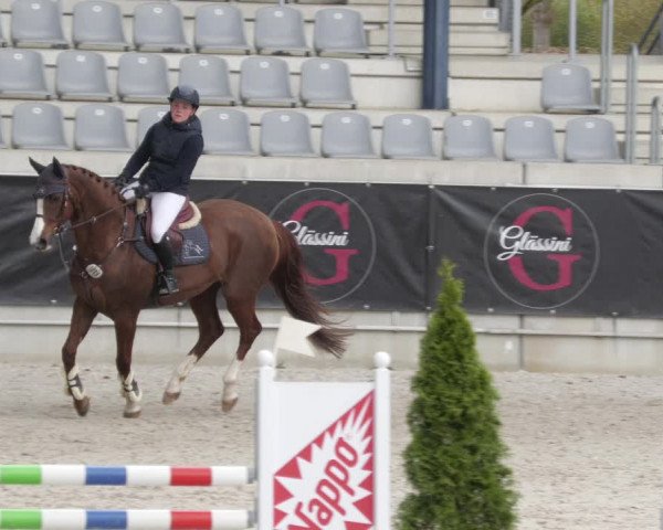 Reitturnier Aachen 2023
