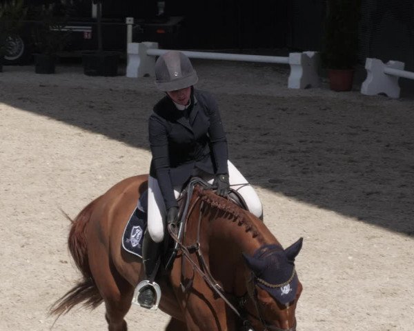 Reitturnier Aachen 2023