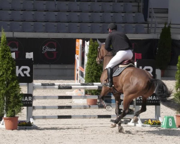 Reitturnier Aachen 2023