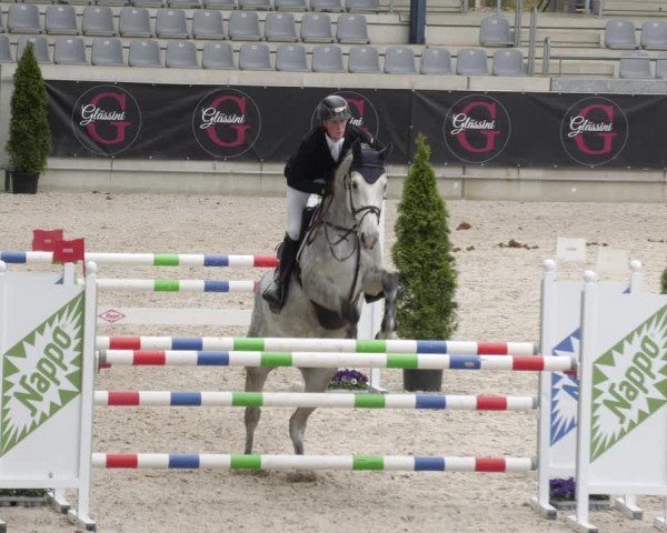 Reitturnier Aachen 2023