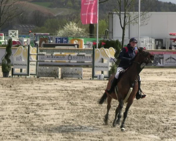 Reitturnier Werne-Lenklar 2023