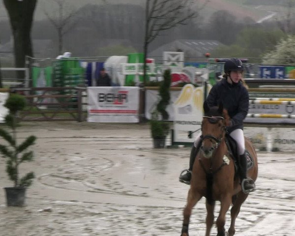 Reitturnier Werne-Lenklar 2023