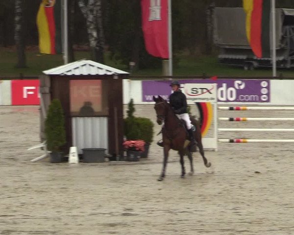 Reitturnier Westergellersen 2023