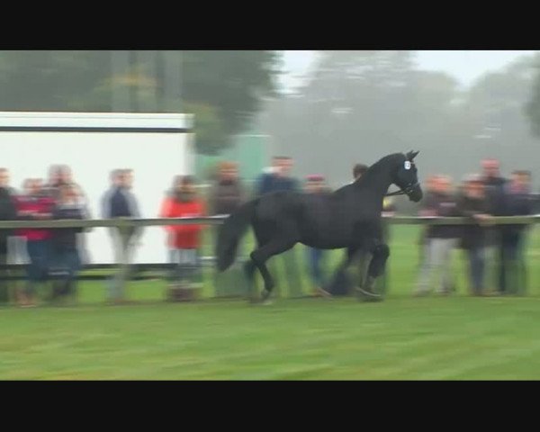Video of Dostojewski