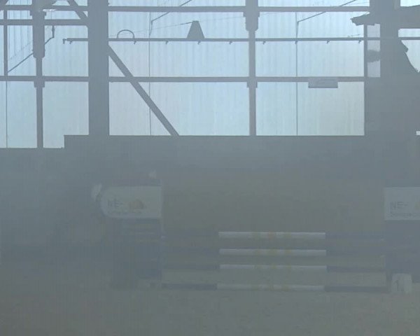 Reitturnier Grafenrheinfeld/Ufr. 2021
