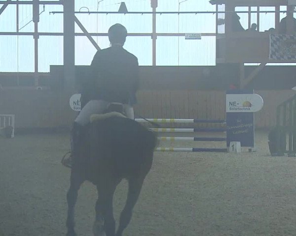 Reitturnier Grafenrheinfeld/Ufr. 2021