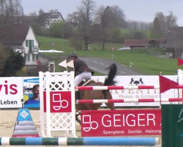 Reitturnier Wädenswil 2023