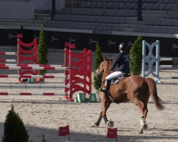 Reitturnier Aachen 2023