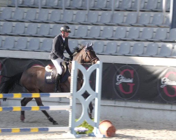 Reitturnier Aachen 2023