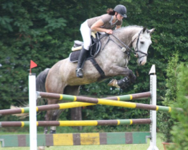 broodmare Alana K (Holsteiner, 2008, from Landos)
