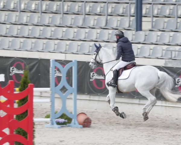 Reitturnier Aachen 2023