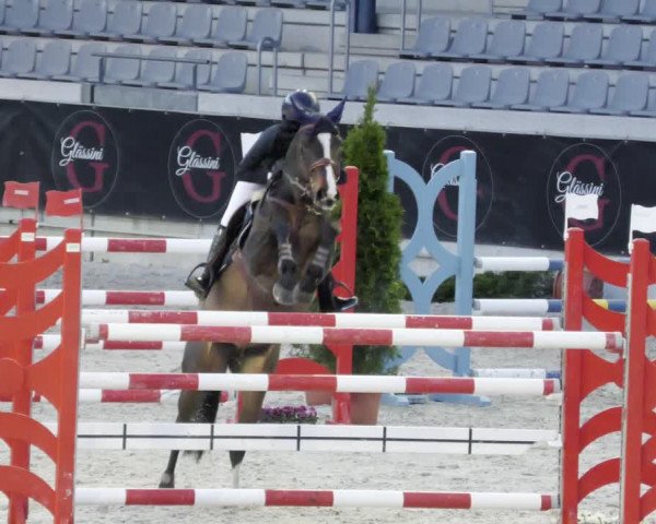 Reitturnier Aachen 2023