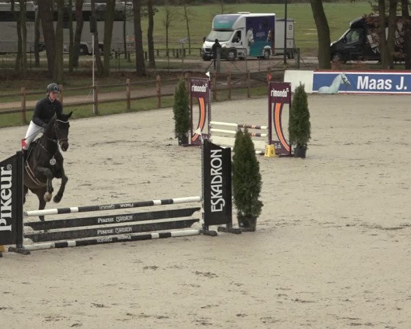 Reitturnier Westergellersen 2023