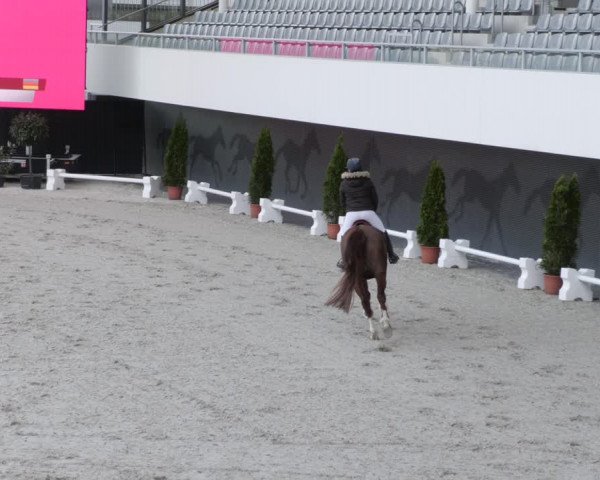 Reitturnier Aachen 2023