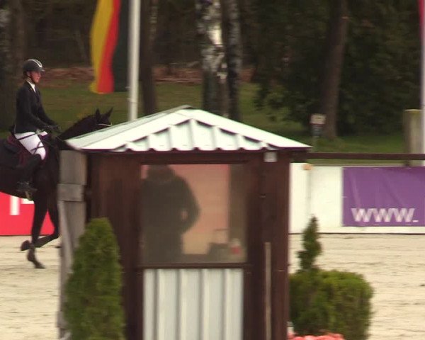 Reitturnier Westergellersen 2023