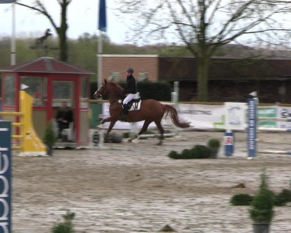 Reitturnier Werne-Lenklar 2023