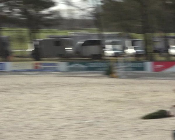 Reitturnier Westergellersen 2023
