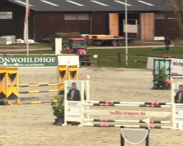 Reitturnier Westergellersen 2023