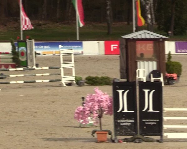 Reitturnier Westergellersen 2023
