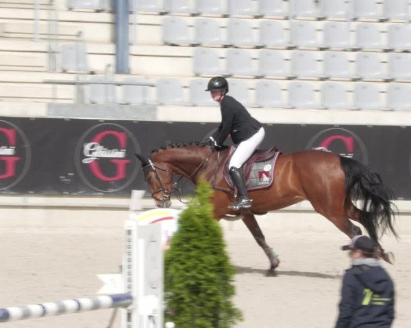 Reitturnier Aachen 2023