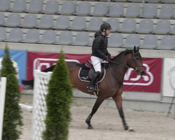 Reitturnier Aachen 2023