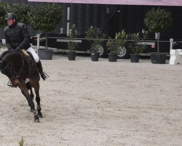 Reitturnier Aachen 2023