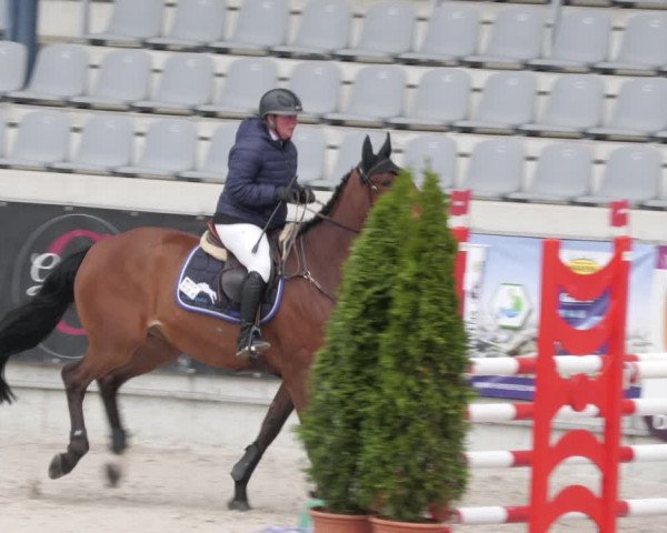 Reitturnier Aachen 2023