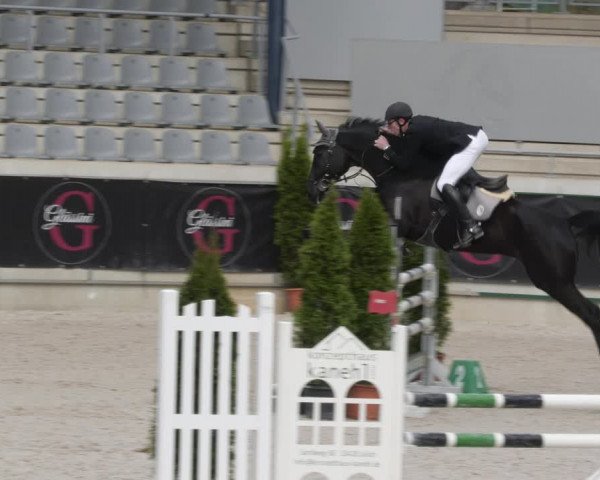 Reitturnier Aachen 2023
