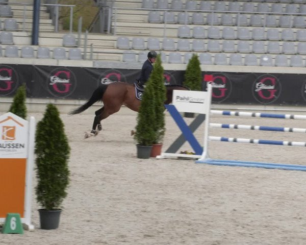 Reitturnier Aachen 2023