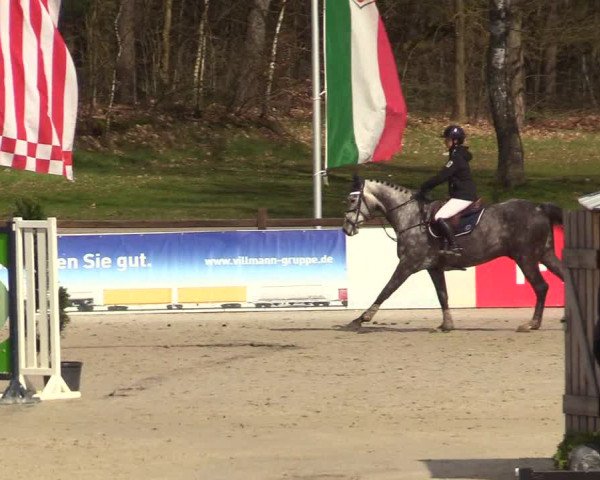 Reitturnier Westergellersen 2023