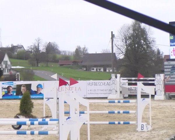 Reitturnier Wädenswil 2023