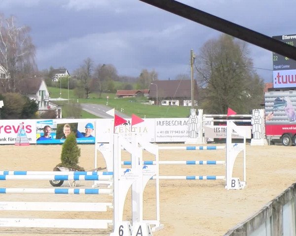 Reitturnier Wädenswil 2023