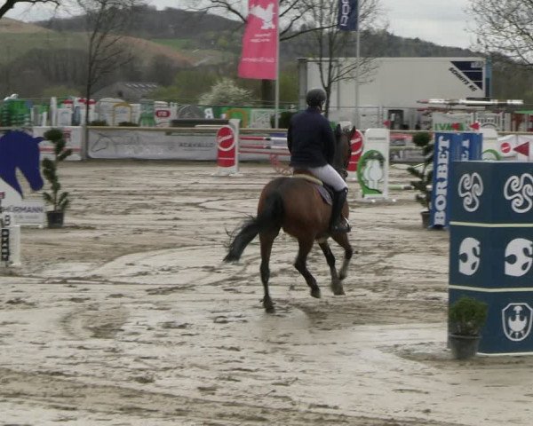 Reitturnier Werne-Lenklar 2023