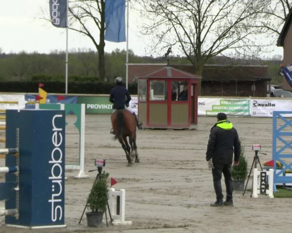 Reitturnier Werne-Lenklar 2023