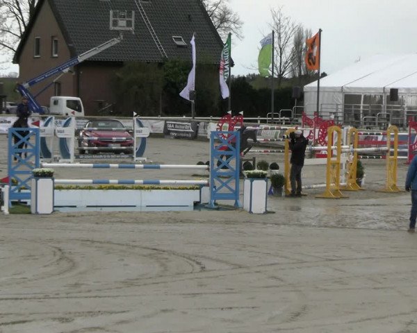 Reitturnier Werne-Lenklar 2023