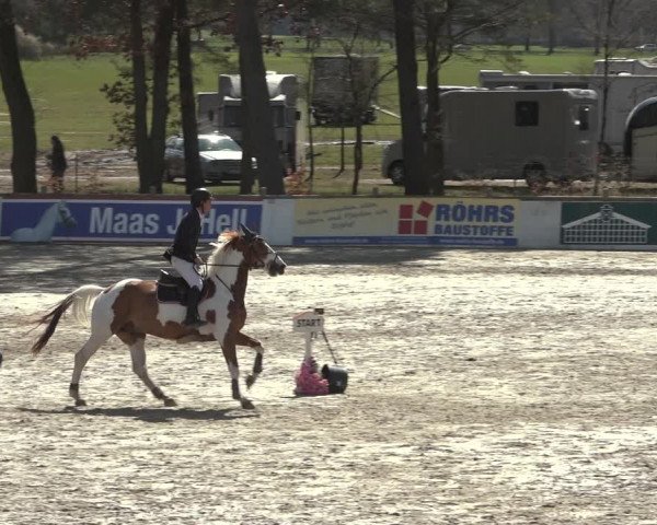 Reitturnier Westergellersen 2023