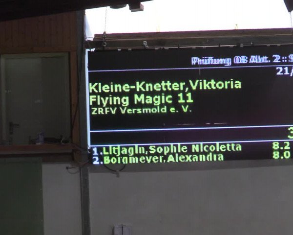 Reitturnier Borgholzhausen-Westbarthausen 2021