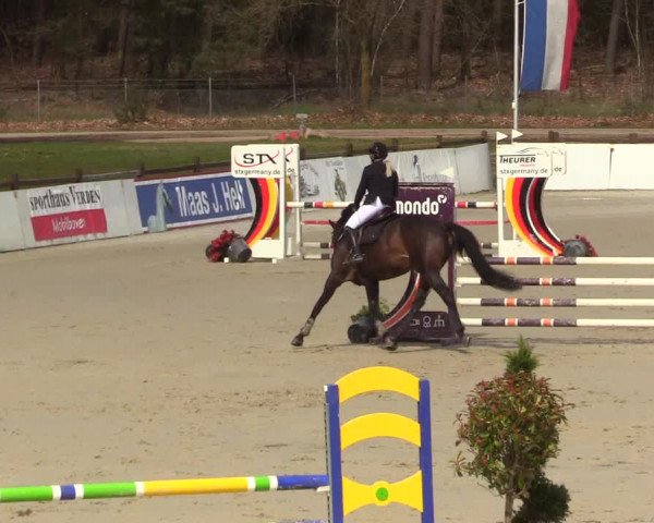 Reitturnier Westergellersen 2023