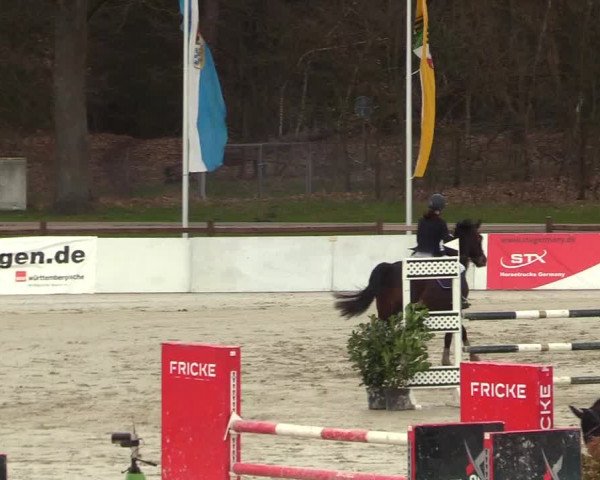 Reitturnier Westergellersen 2023
